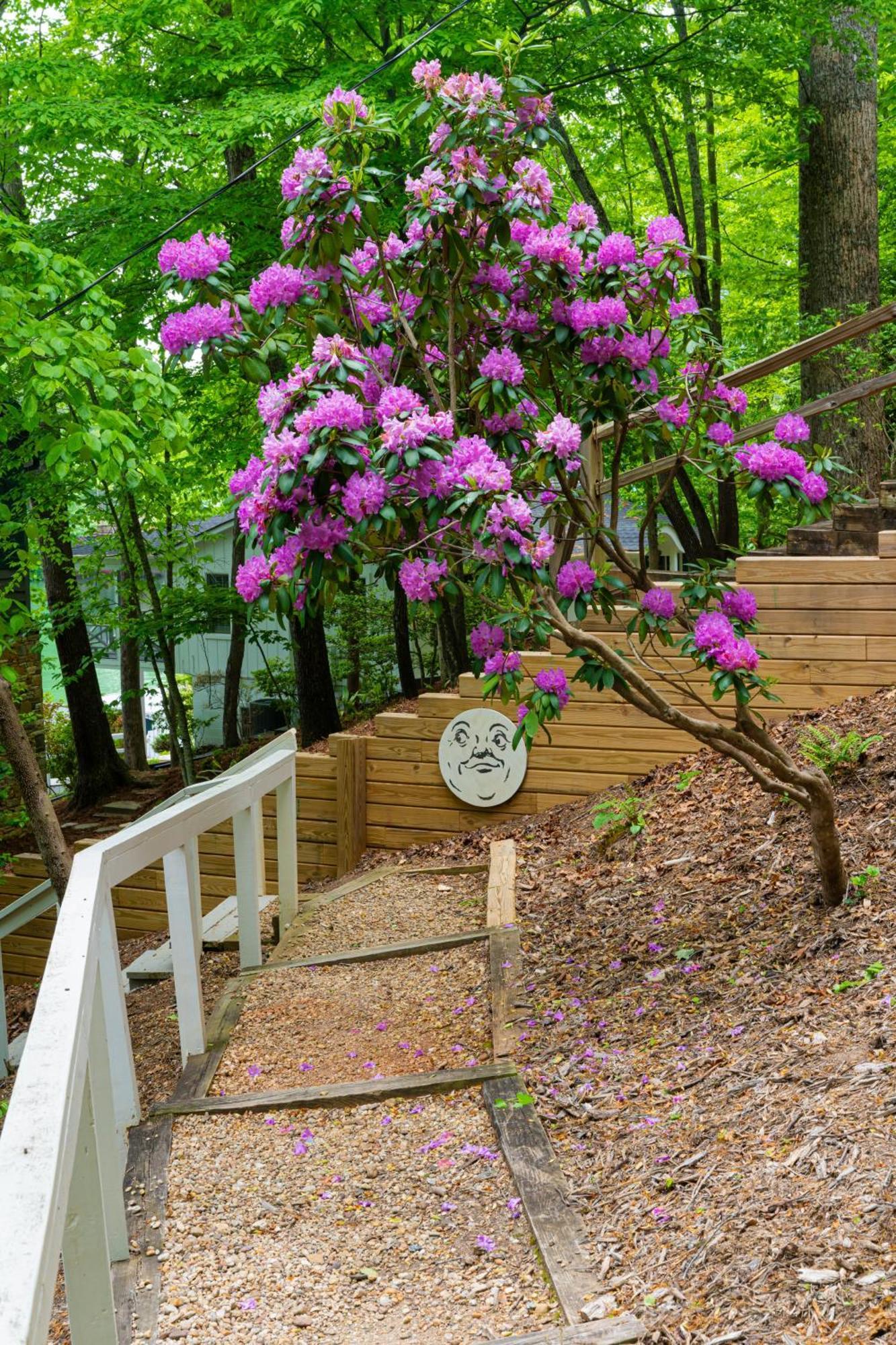 Blue Moon Cottage Lake Lure Exterior photo